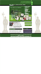 Mobile Screenshot of custodiansecuritysystems.com